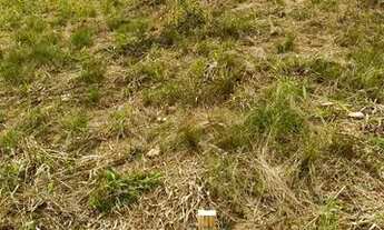 Imagem 4: Lote/Terreno para venda possui 1000 metros quadrados em Centro - Mairiporã - SP