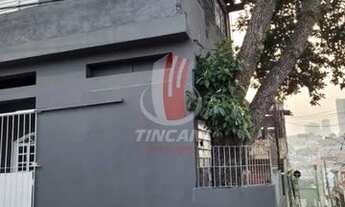 Imagem 2: São Paulo - Casa Padrão - VILA CARRAO