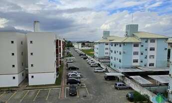 Imagem 3: PALHOçA - Padrão - Aririú