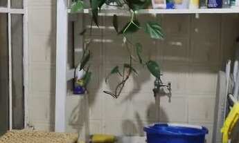 Imagem 3: Apartamento à venda no Centro de São Paulo