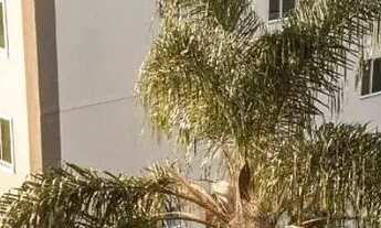 Imagem: Apartamento para comprar Previdenciários