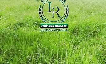 Imagem 5: Chácara/Fazenda 11 alqueires Próximo a Palmas