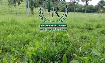 Imagem 7: Chácara/Fazenda 11 alqueires Próximo a Palmas