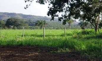 Imagem 3: Fazenda em Campos Lindos. 66 mil por alqueire