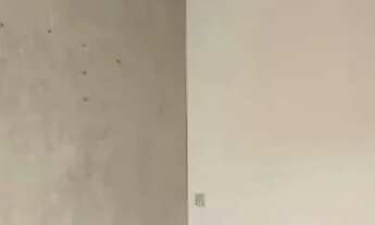 Imagem 5: Térrea para aluguel e venda possui 250 metros quadrados com 3 quartos em Esperança - Londr