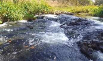 Imagem 4: Fazenda com cana próximo Uberlândia