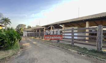 Imagem 4: Sitio 14 Alqueires (67,76 Hectares) Orizona - GO