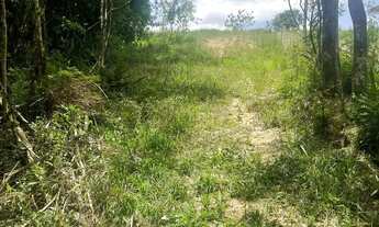 Imagem: Ótimo Terreno em Quitandinha - PR