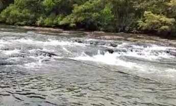 Imagem 5: VENDO RANCHO RIO SÃO TOMAZ EM RIO VERDE GO