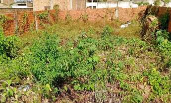 Imagem 6: Terreno no Pindorama