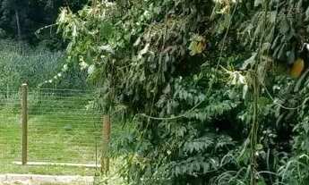 Imagem 7: Casa de condomínio para venda possui 1398 metros quadrados em Rio Abaixo - Mairiporã - SP