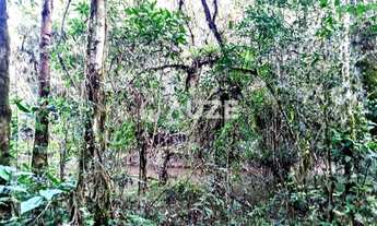 Imagem 4: Maravilhosa Chácara à venda, Colônia Murici, São José dos Pinhais, PR