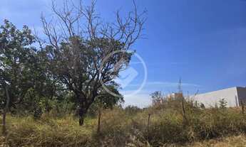Imagem: Chácaras Primavera a venda 1.500m2 mansões