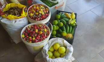 Imagem 7: Sítio Chácara Fazendinha de 3 alqueires montada em Pirenópolis Goiás