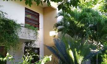 Imagem 4: Disponível aluguel!