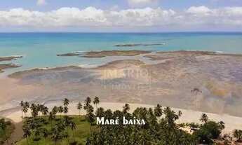 Imagem 5: Terreno em Japaratinga/AL