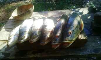 Imagem 6: Janauaca Manaquiri