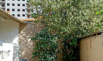 Imagem 7: ALUGO CASA DE VILA, COM PITANGUEIRA