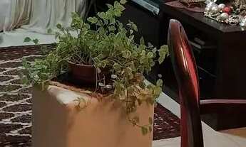 Imagem 2: Quarto alugo mobiliado bairro água verde valor 1500. (P/ mulher)