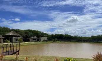 Imagem 5: FAZENDA REAL 3 Chácara com venda por R$70.000