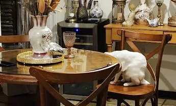 Imagem: Aluguel para moças