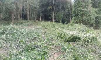 Imagem 6: BOSQUE DOS ESQUILOS