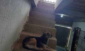 Imagem 2: Casa no mestre Antônio