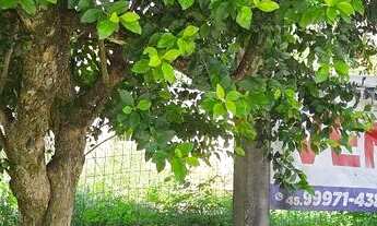 Imagem: Terreno Brazmadeira atrás Globoaves