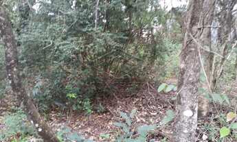 Imagem 3: Terreno Padrão em Bauru