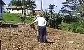 Imagem 3: Vendo Sítio/Chácara em Santo Antônio da Patrulha