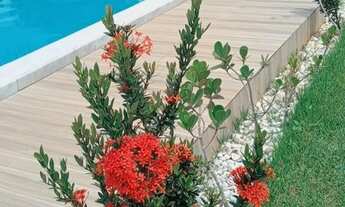 Imagem 4: Casa com piscina para alugar por temporada