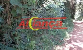 Imagem 6: Ótimo terreno à venda de 3 mil metros no Bairro Terra Preta!