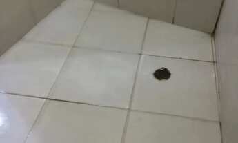 Imagem 3: Vende-se uma casa no engenho velho de brotas