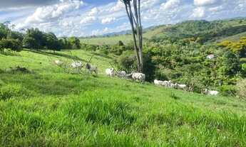 Imagem 7: Roça com Platanção de Cacau, 02 nascentes, com 52.272m² em Jiquiriçá