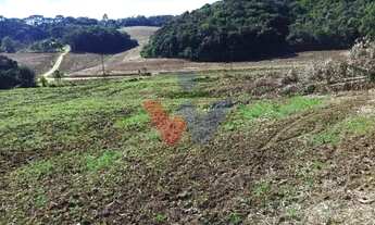 Imagem 7: Terreno Rural em Campo Magro 24.080 m , Plano e Limpo, Aceita Permuta