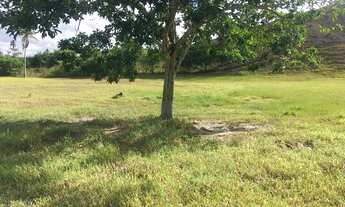 Imagem 3: Fazenda no Riacho da Guia Alagoinhas