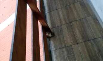 Imagem: Kitinete no Jardim Paraíso R$380,00