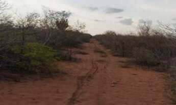 Imagem 7: Terreno em Petrolândia com 134 hectares