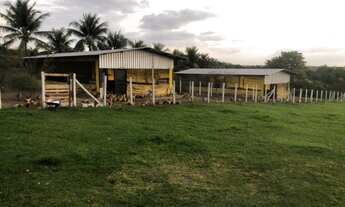 Imagem 2: Sitio com Granja