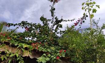 Imagem 2: Casa Casa com 2 dormitórios