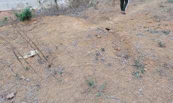 Imagem 7: Lote à venda Terreno / lote com venda por R$30.000