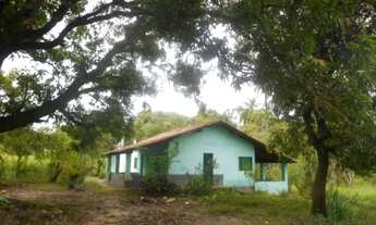 Imagem: V) Vende-se Excelente Sítio no Lomanto