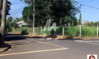 Imagem 5: Terreno (terreno normal