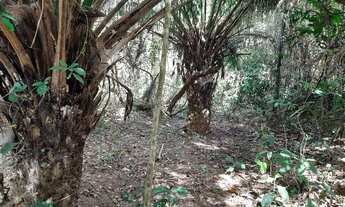 Imagem 7: Bela Vista de Goiás - Chácara