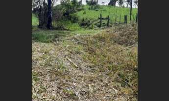 Imagem 5: Fazenda Nazaré das Farinha otima localizacao