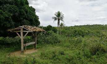Imagem 7: Fazenda Fazenda / sítio com venda por R$1.350.000