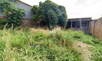 Imagem 1: Terreno, 258,75m², Pinheiro Machado