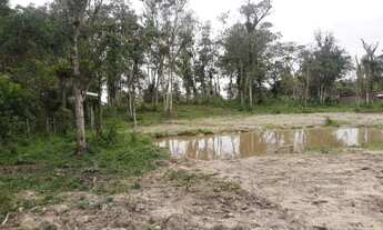 Imagem 3: Vendo sítio em Pirabeiraba