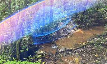 Imagem 3: IMAGINE-SE NESTE SÍTIO COM RIACHO