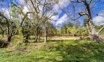 Imagem 6: Embu das Artes - Terreno Padrão - Jardim Tomé